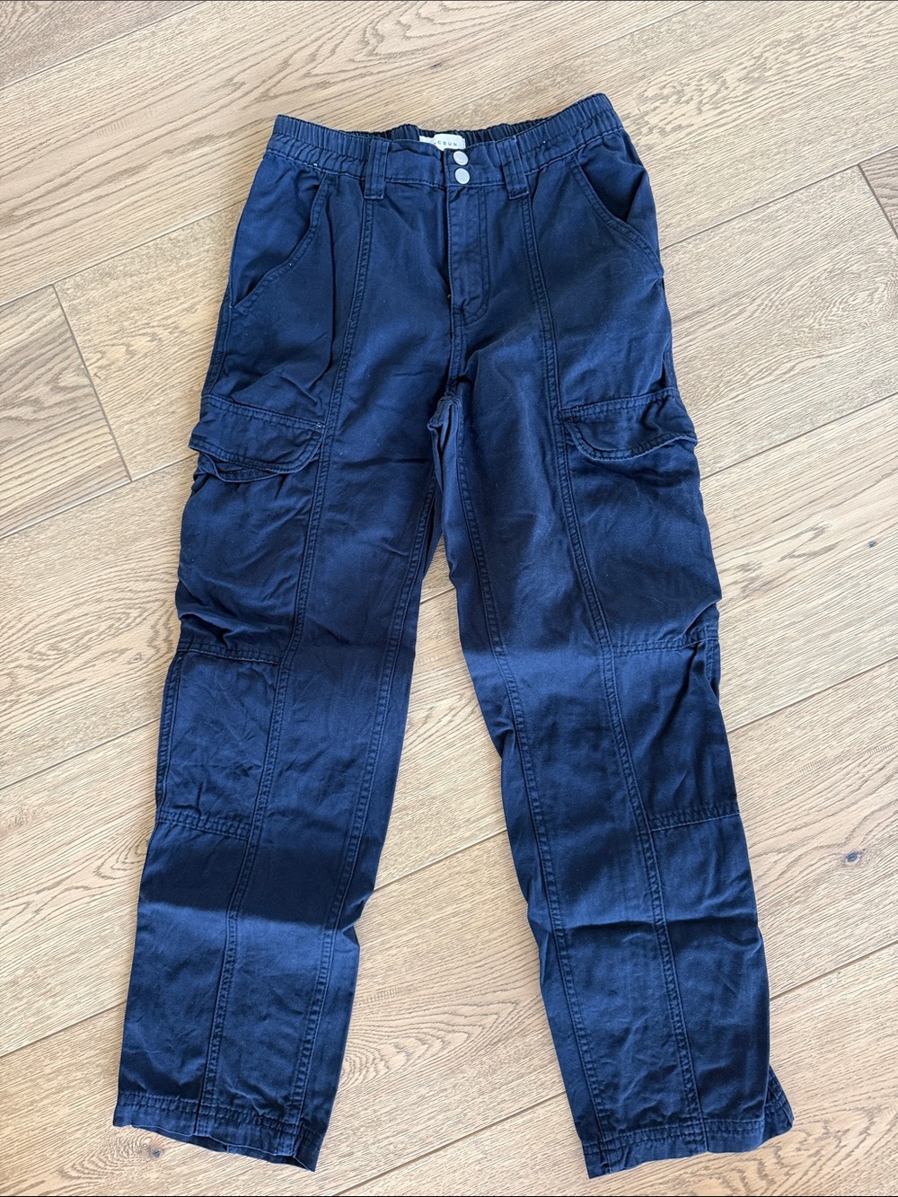PacSun Navy Blue Straight-Leg Cargo Pants